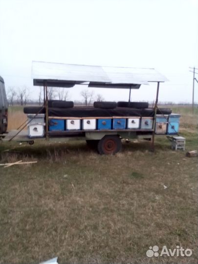 Продается пасека