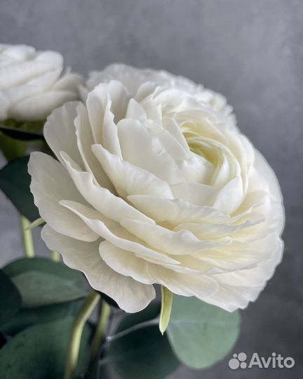 Ранункулюсы букет