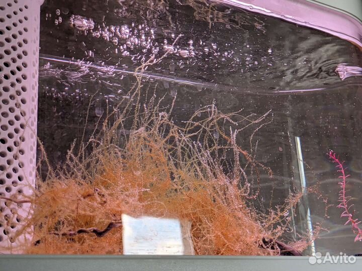 Аквариум Xiaomi Painting Geometry Amphibious Pro C