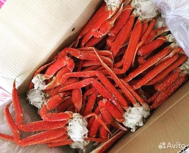 Краб Стригун