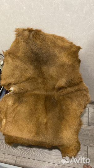 Козья шкура