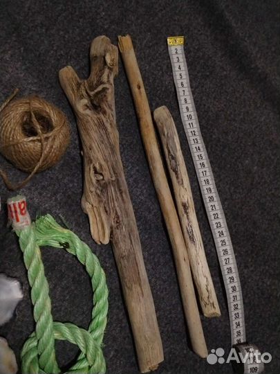 Дрифтвуд коряги устрицы ракушки