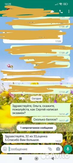 Репетитор по русскому языку