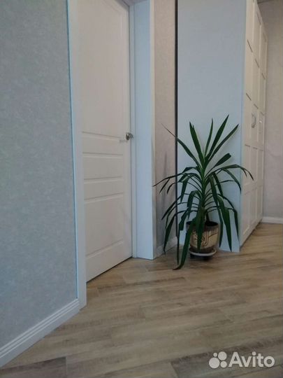 Пальма Юкка, детки