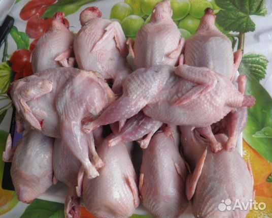 Мясо перепелов