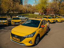 Водители такси на Kia Rio и Hyundai Solaris
