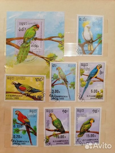 Марки. Набор марок. Kampuchea. 1989. Попугаи