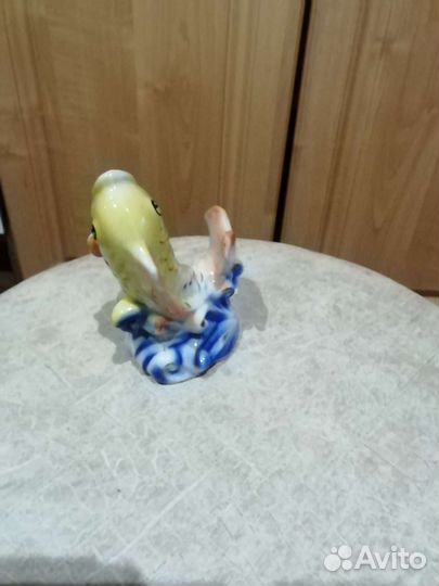 Рыба, свинья