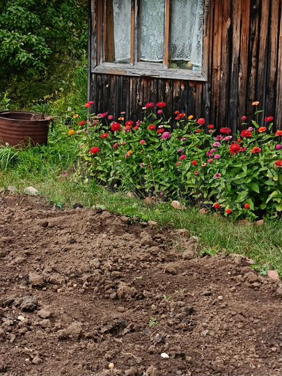 Участок 6 сот. (СНТ, ДНП)