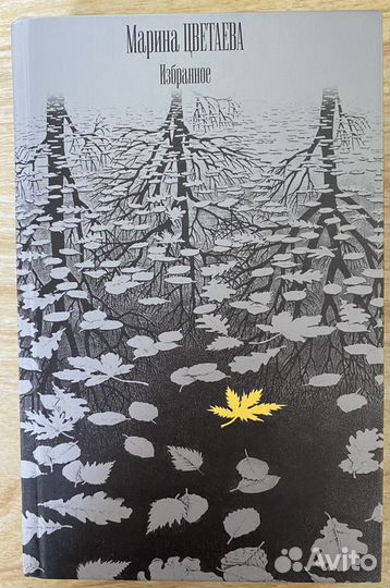 Поэзия Россия