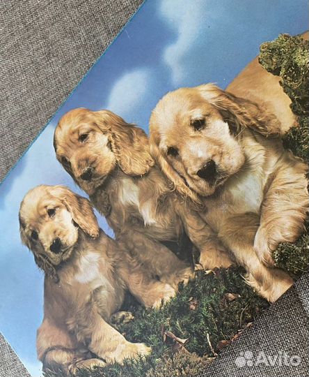 Коробка из под шоколадных конфет СССР