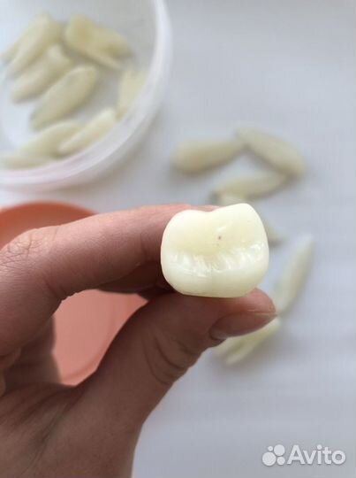 Зубы из воска для студентов