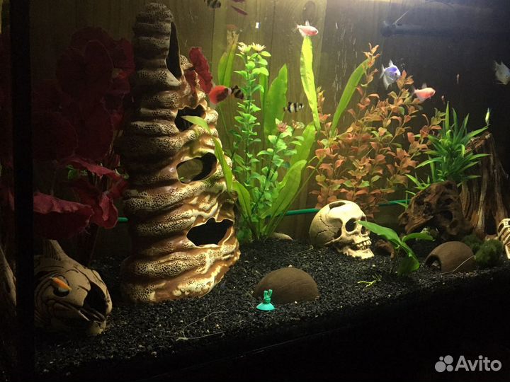 Аквариум 200 литров со всем содержимым