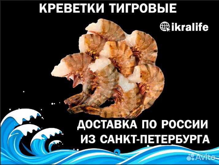 Креветка тигровая для баз отдыха