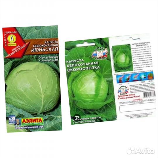 Рассада капусты, цветная, брокколи, белокочанная