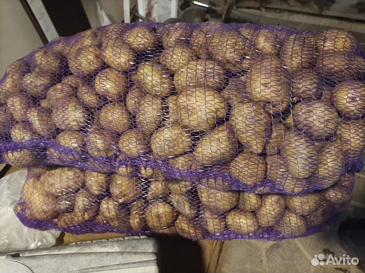 Картофель с бесплатной доставкой