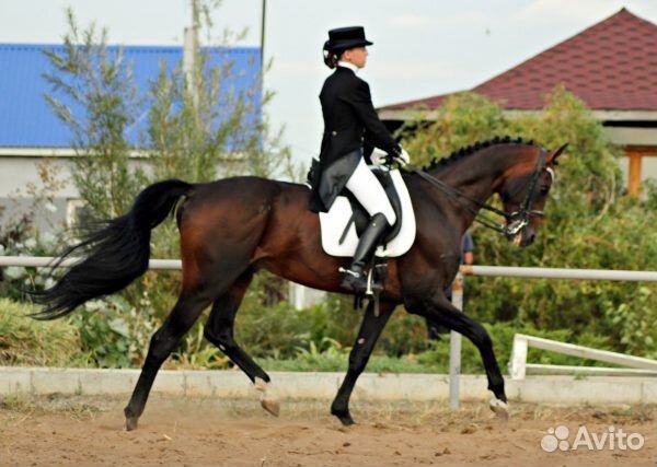 Механизатор с проживанием