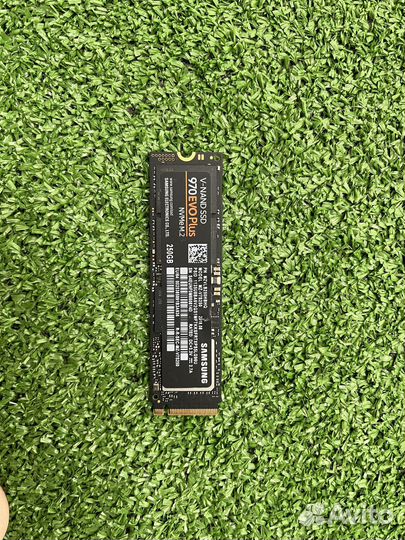 SSD M.2 накопитель Samsung 970 EVO Plus 256 гб