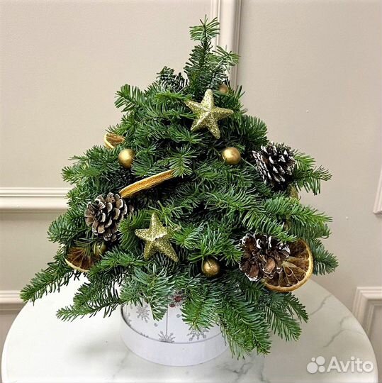 Композиции с Нобилисом