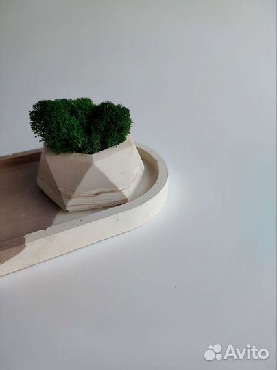 Кашпо с стабилизированным мхом и подносом
