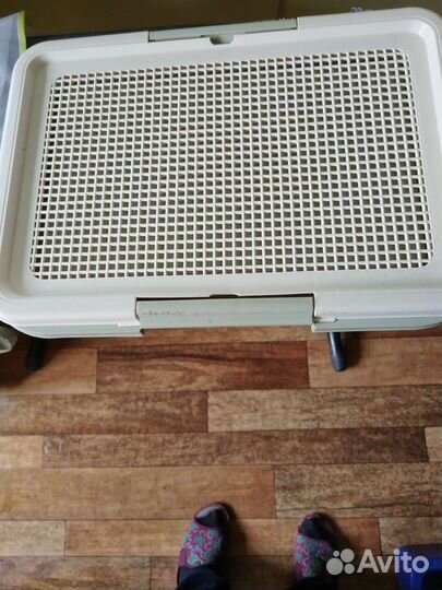 Лоток для кошек и собак