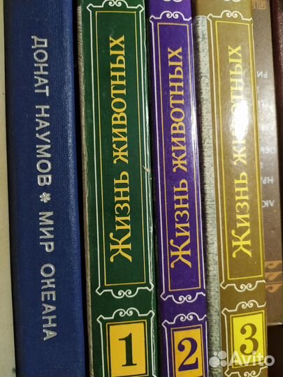 Словари, справочники, учебная литература