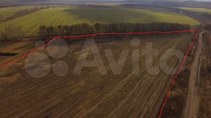 Участок 2 га (СНТ, ДНП)