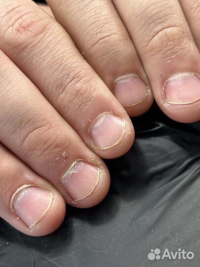 Женский и мужской маникюр