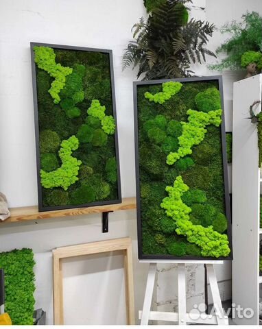 Мох стабилизированный фитокартина фитостена панно
