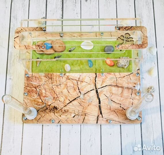 Муравьиная ферма макси 