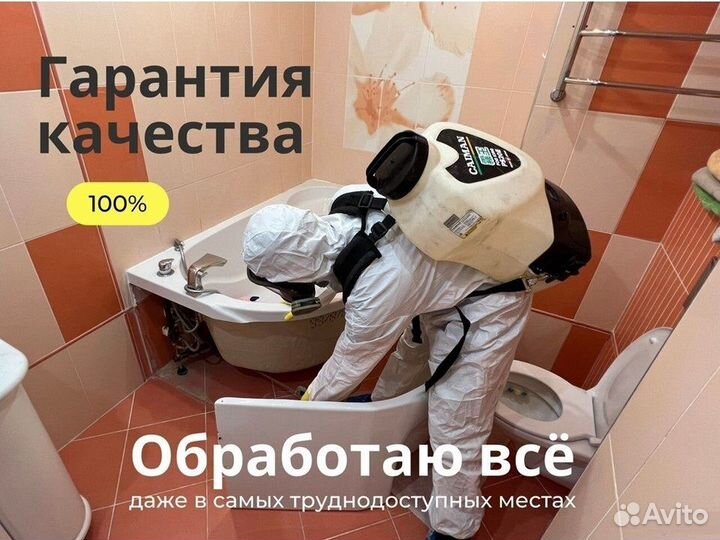 Уничтожение Тараканов Клопов Дезинфекция Муравьев