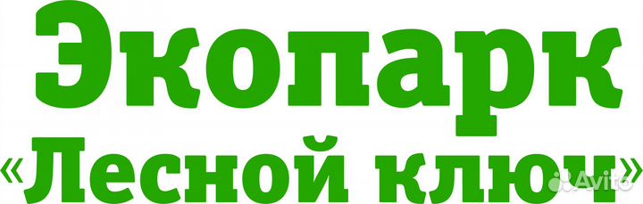 Администратор ресторана