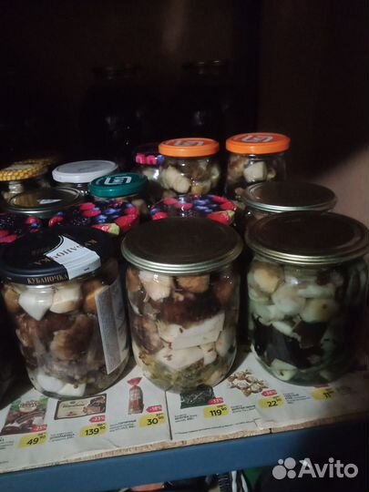 Продаю грибочки