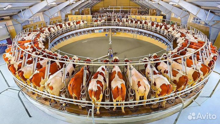 Молочный зал, Молочное оборудование