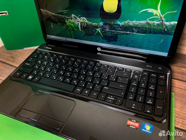 Ноутбук HP для удалённой работы и учёбы
