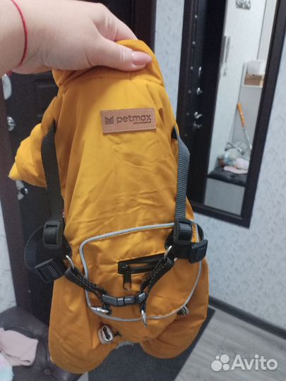 Одежда для маленьких собак