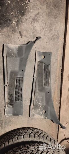 Жабо заз Шанс 1.5