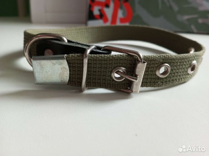 Шлейка с поводком для собак и кошек, ошейник