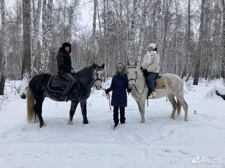 Конные прогулки, обучение верховой езде