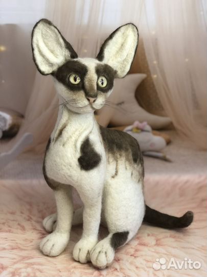 Игрушка из шерсти. Кот Корниш Рекс
