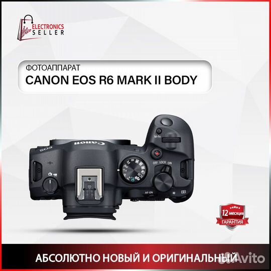 Canon EOS R6 mark II body