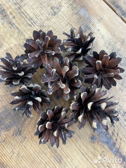 Шишки для поделок