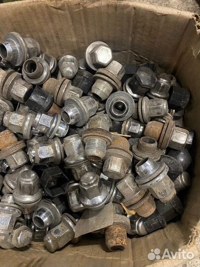 Колесные гайки Infiniti Fx37 S51 VQ37HR 2012