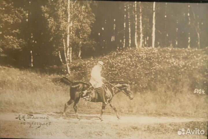 Антикварная фотография, Карл Булла 