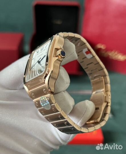 Часы Cartier Santos wgsa0018 Santos de Cartier Lar