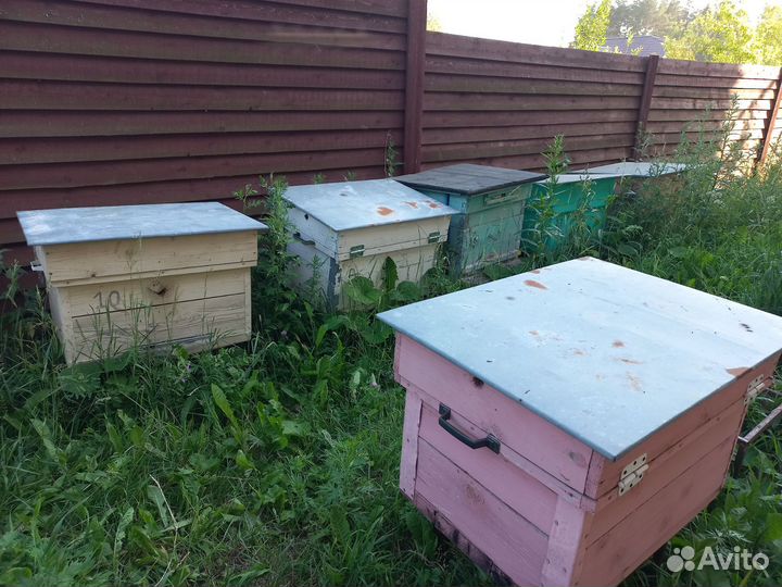 Улей для пчел