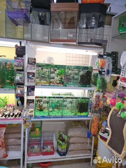 Аквариумные рыбки