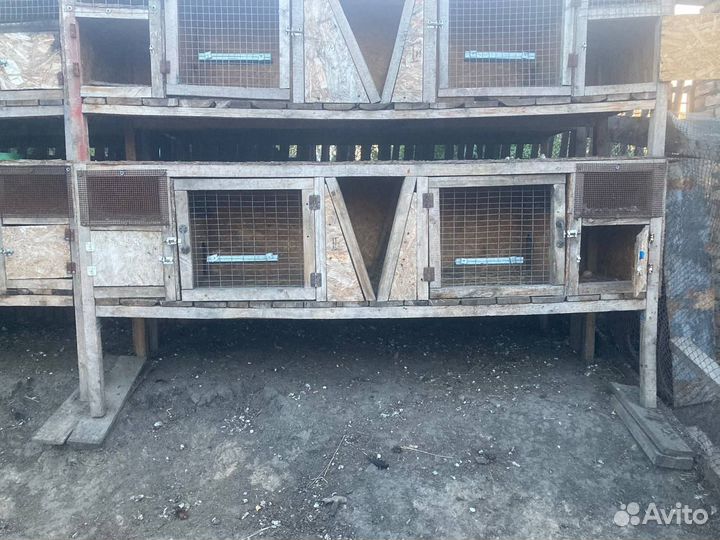 Клетки для кроликов