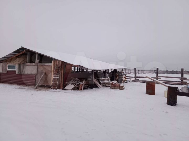 Участок 100 сот. (СНТ, ДНП)