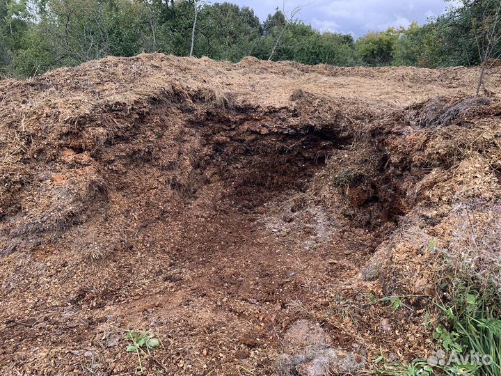 Конский навоз бесплатно